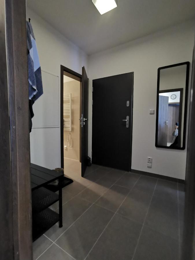 Апартаменти Apartman 5 Klinovec Лоучна-под-Кліновцем Екстер'єр фото