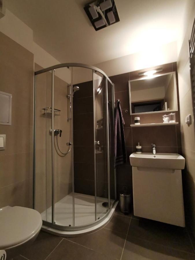 Апартаменти Apartman 5 Klinovec Лоучна-под-Кліновцем Екстер'єр фото